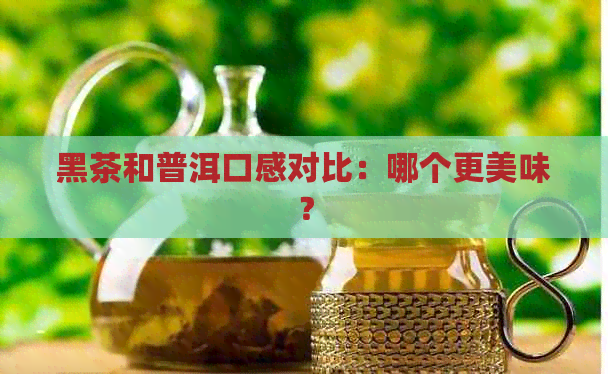 黑茶和普洱口感对比：哪个更美味？