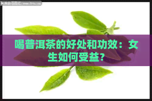 喝普洱茶的好处和功效：女生如何受益？