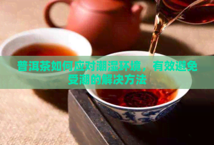 普洱茶如何应对潮湿环境，有效避免受潮的解决方法