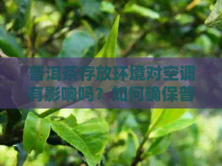 普洱茶存放环境对空调有影响吗？如何确保普洱茶在开空调的情况下存放？