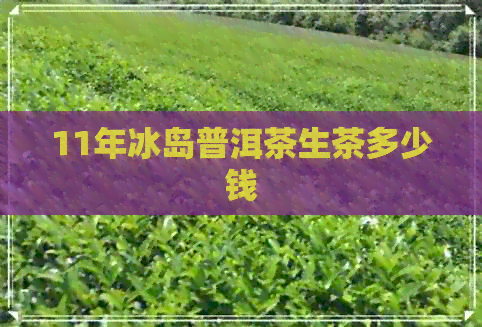 11年冰岛普洱茶生茶多少钱