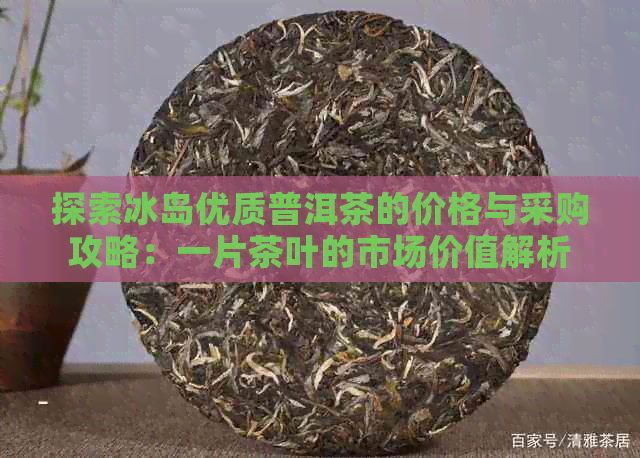 探索冰岛优质普洱茶的价格与采购攻略：一片茶叶的市场价值解析