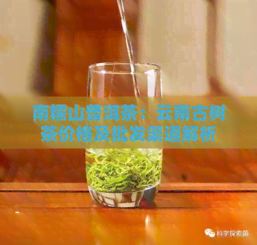 南糯山普洱茶：云南古树茶价格及批发渠道解析