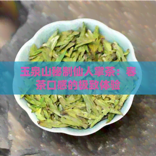 玉泉山秘制仙人掌茶：春茶口感的极致体验