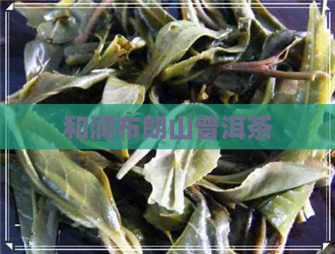 和润布朗山普洱茶