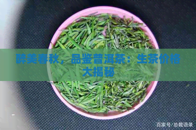 醉美春秋，品鉴普洱茶：生茶价格大揭秘