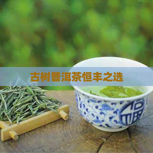 古树普洱茶恒丰之选