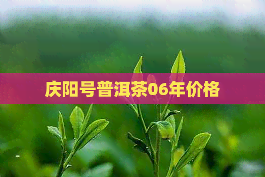 庆阳号普洱茶06年价格