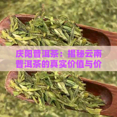 庆阳普洱茶：揭秘云南普洱茶的真实价值与价格，避免陷入骗局