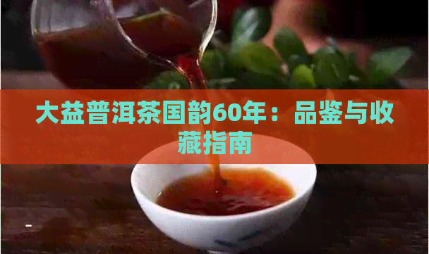 大益普洱茶国韵60年：品鉴与收藏指南