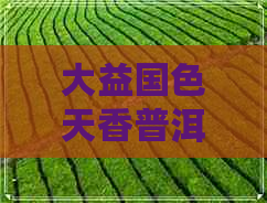 大益国色天香普洱茶今日价格