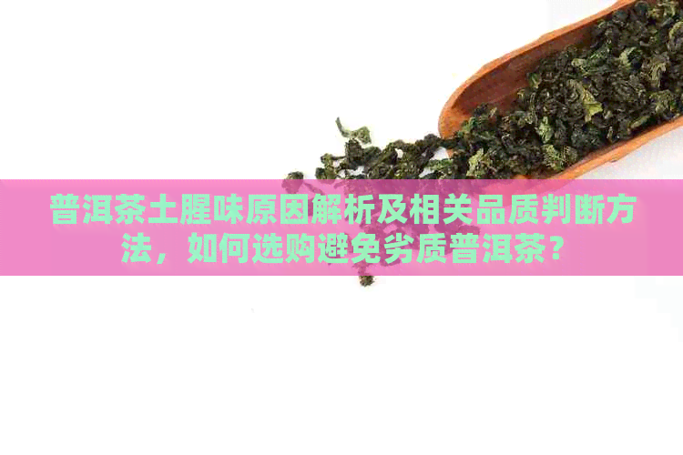 普洱茶土腥味原因解析及相关品质判断方法，如何选购避免劣质普洱茶？