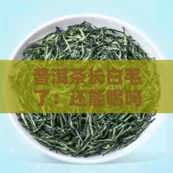 普洱茶长白毛了：还能喝吗？整块都不能喝吗？