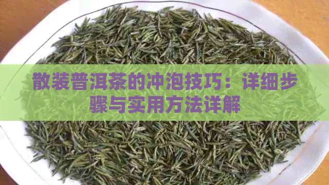 散装普洱茶的冲泡技巧：详细步骤与实用方法详解