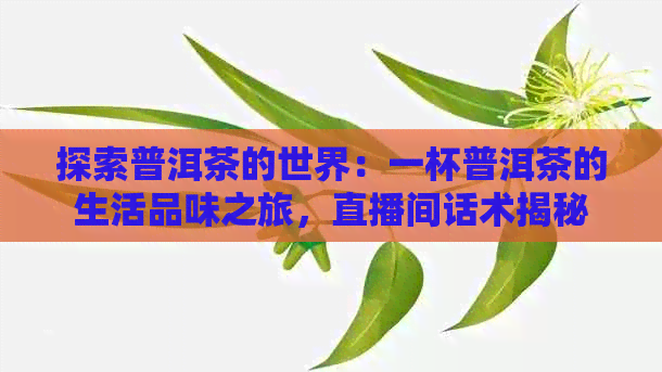 探索普洱茶的世界：一杯普洱茶的生活品味之旅，直播间话术揭秘