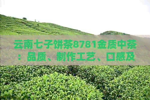 云南七子饼茶8781金质中茶：品质、制作工艺、口感及收藏价值全方位解析