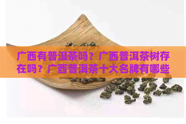 广西有普洱茶吗？广西普洱茶树存在吗？广西普洱茶十大名牌有哪些？