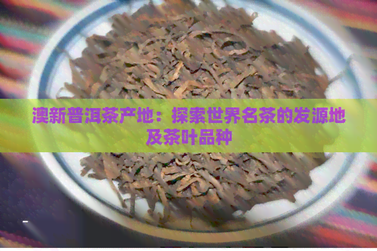 澳新普洱茶产地：探索世界名茶的发源地及茶叶品种