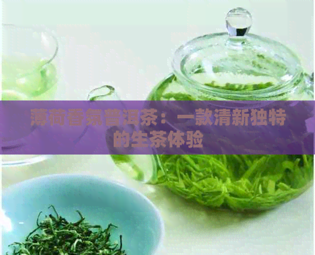 薄荷香氛普洱茶：一款清新独特的生茶体验