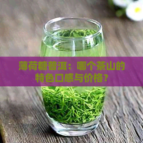 薄荷糖普洱：哪个茶山的特色口感与价格？