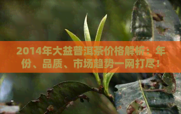 2014年大益普洱茶价格解析：年份、品质、市场趋势一网打尽！