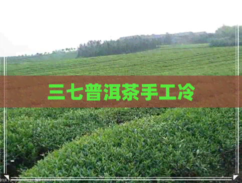 三七普洱茶手工冷