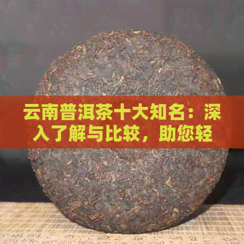 云南普洱茶十大知名：深入了解与比较，助您轻松挑选最适合的茶品