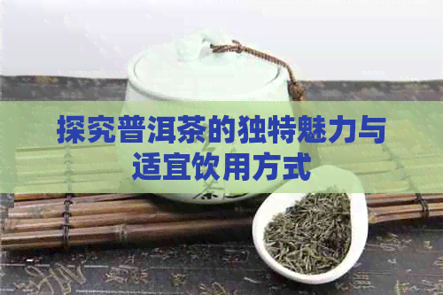 探究普洱茶的独特魅力与适宜饮用方式