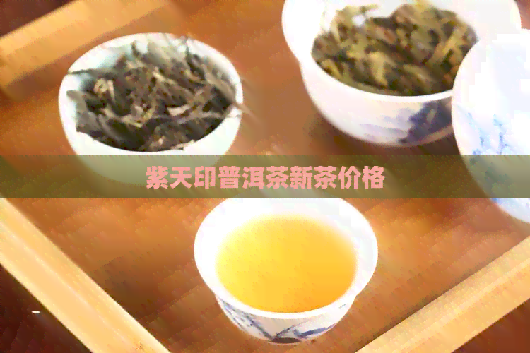 紫天印普洱茶新茶价格