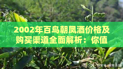 2002年百鸟朝凤酒价格及购买渠道全面解析：你值得拥有的高品质佳酿