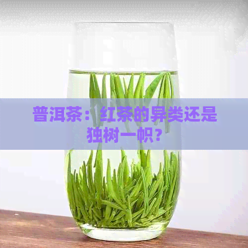 普洱茶：红茶的异类还是独树一帜？