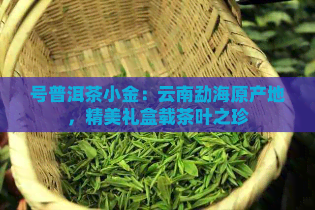 号普洱茶小金：云南勐海原产地，精美礼盒载茶叶之珍