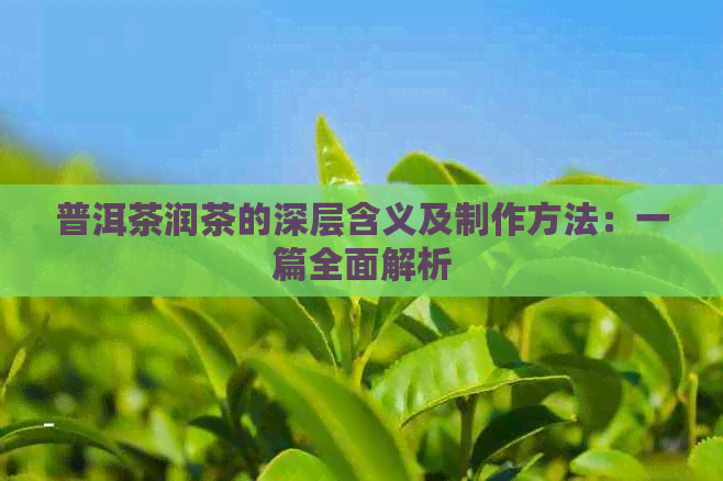 普洱茶润茶的深层含义及制作方法：一篇全面解析