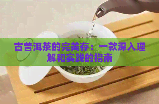 古普洱茶的完美存：一款深入理解和实践的指南