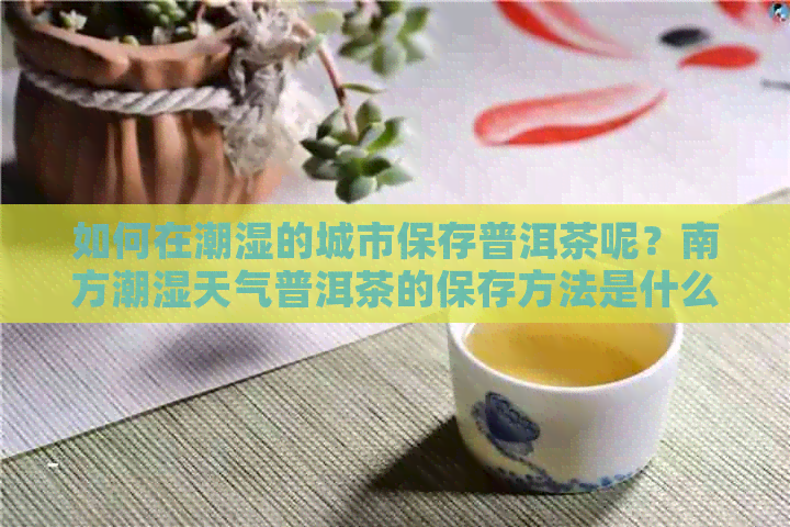 如何在潮湿的城市保存普洱茶呢？南方潮湿天气普洱茶的保存方法是什么？