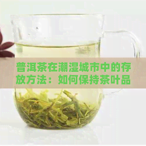 普洱茶在潮湿城市中的存放方法：如何保持茶叶品质和避免受潮？