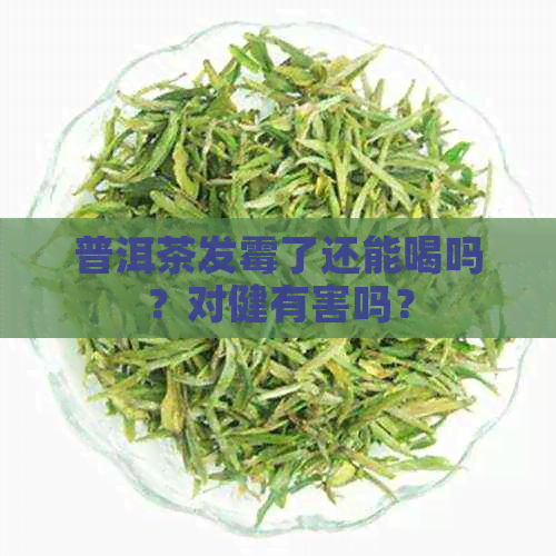 普洱茶发霉了还能喝吗？对健有害吗？