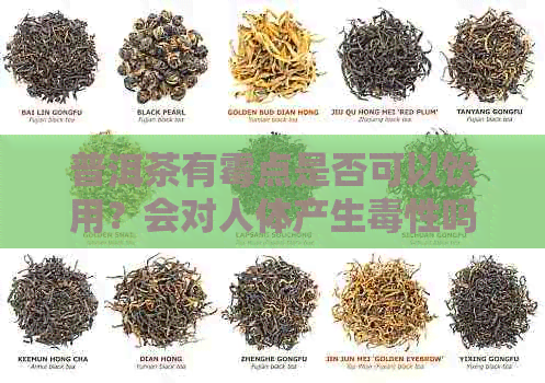 普洱茶有霉点是否可以饮用？会对人体产生性吗？如何正确处理？