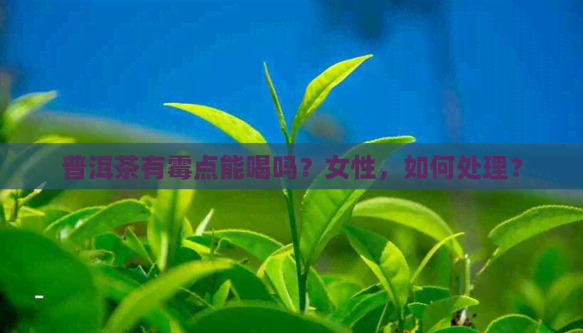 普洱茶有霉点能喝吗？女性，如何处理？