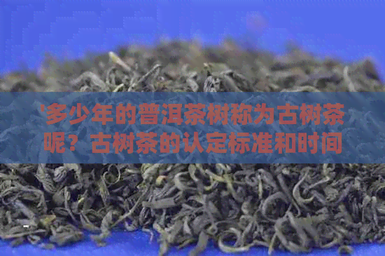 '多少年的普洱茶树称为古树茶呢？古树茶的认定标准和时间长度。'