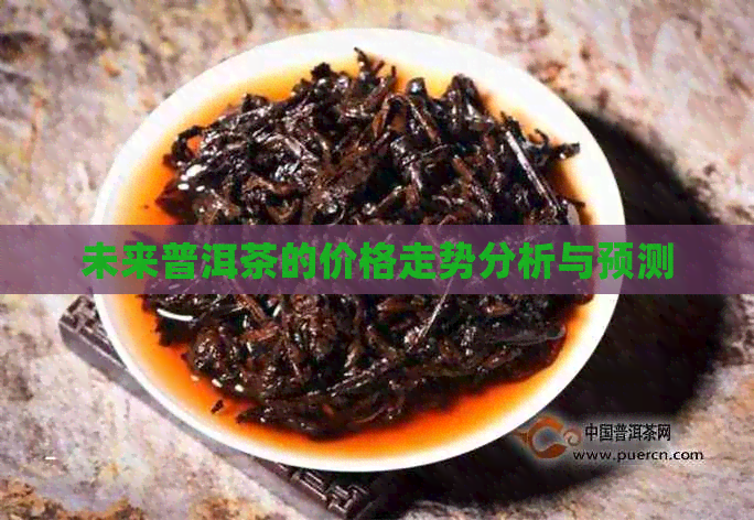 未来普洱茶的价格走势分析与预测