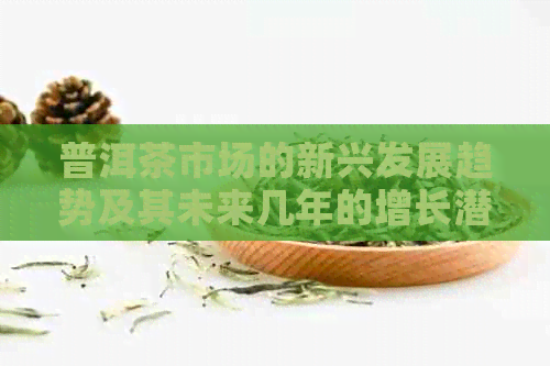 普洱茶市场的新兴发展趋势及其未来几年的增长潜力