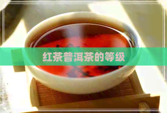 红茶普洱茶的等级