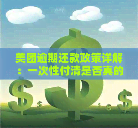 美团逾期还款政策详解：一次性付清是否真的可行？