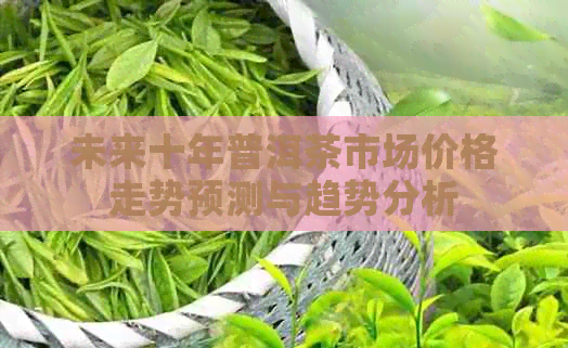 未来十年普洱茶市场价格走势预测与趋势分析