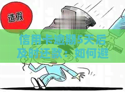 信用卡逾期5天后及时还款：如何避免受损？