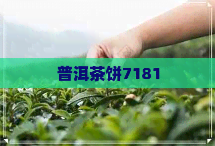 普洱茶饼7181