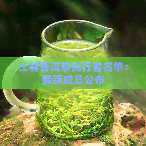 土林普洱茶先行者名单：最新成员公布