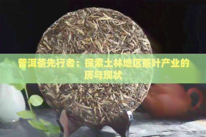 普洱茶先行者：探索土林地区茶叶产业的历与现状