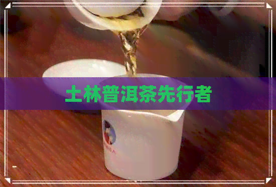 土林普洱茶先行者